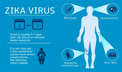 The Threat And Fight Against Zika Virus Infographic Fitneass