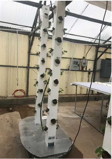 A Step By Step Guide To Building A Vertical Hydroponic Tower In 2020