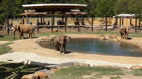 Best Zoos Wildlife Parks And Petting Zoos Around Atlanta Atlanta Parent