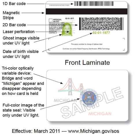 New Michigan Drivers License