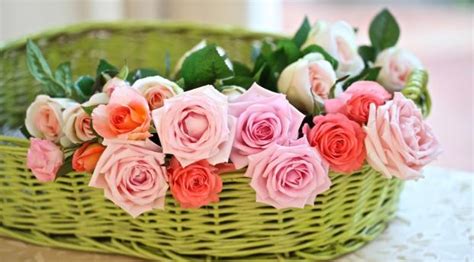 3840x2160 Resolution Rose Flower Basket 4k Wallpaper Wallpapers Den