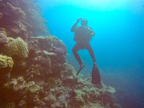 Learn more about working hours, salaries, and what courses you need to study to pursue a career in this filed. Dive Instructor climbing up from the depths of the Great ...