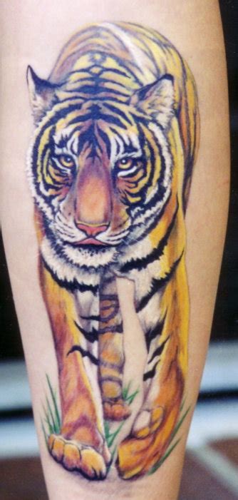 Tiger Tattoos For Women ~ All About