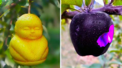 20 Most Amazing And Rare Fruits In The World Youtube