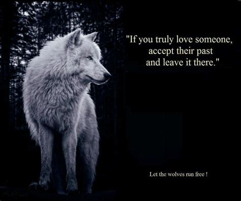 Pin By Jenn On Wolves Past Quotes Wolf Quotes Wolf Spirit Animal