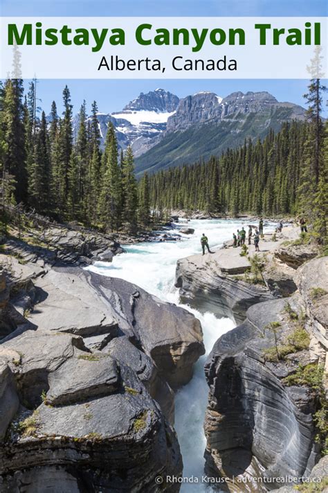 Mistaya Canyon Is A Scenic Limestone Gorge On The Icefields Parkway In