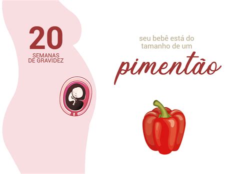 Quantos Dias Tem 20 Semanas