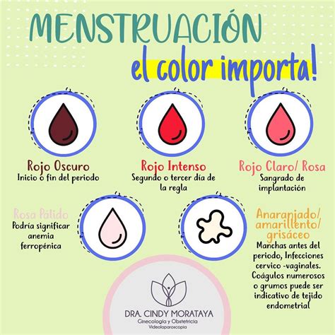 Colores De Menstruación Y Significado Palacetips