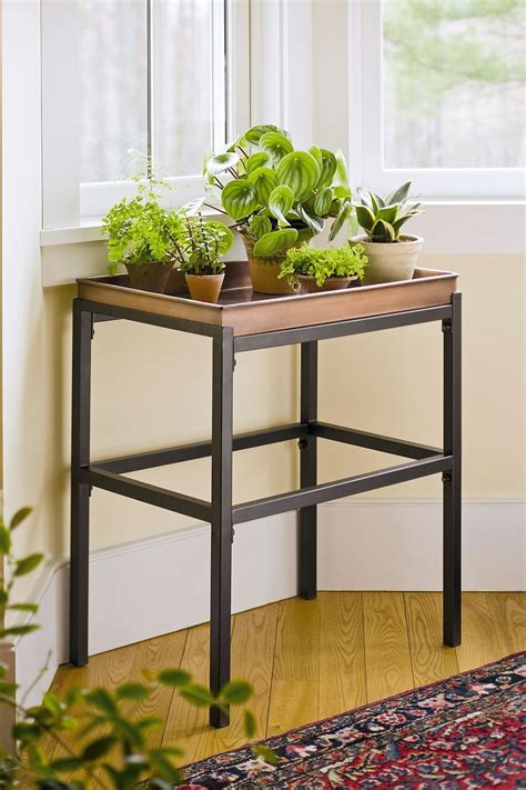 A plant stand is a great way to draw attention to your plant, while also lifting it off the ground. Stand with Copper Tray | Plant stand indoor, Plant table ...