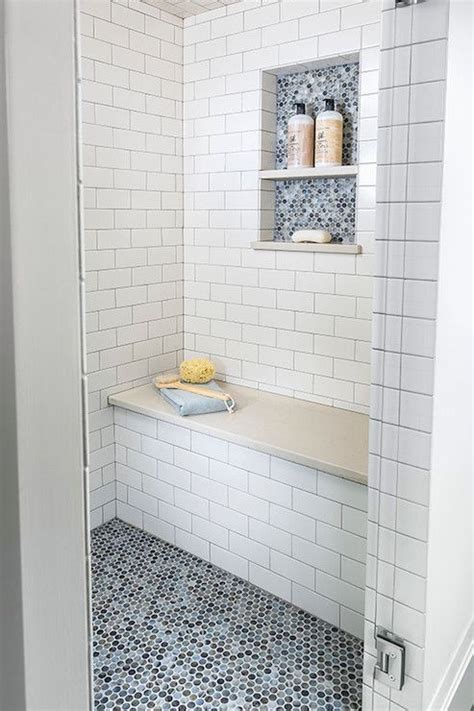 Accent Penny Tile In Niche And On Floor Basement Bathroom Bathroom