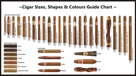 Cigar Sizes Guide Mikes Cigars Blog Cigars Cigars And Whiskey