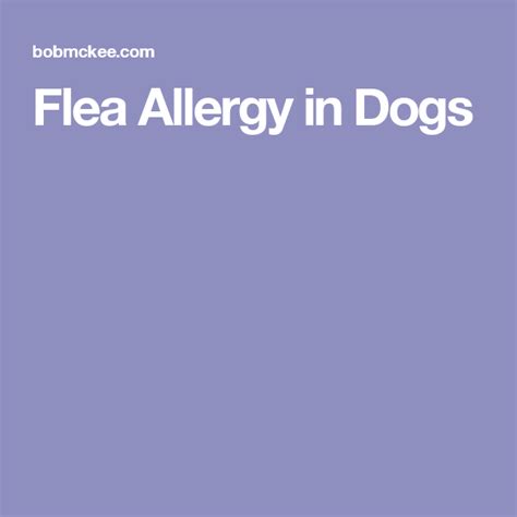 Flea Allergy In Dogs Dog Allergies Dog Health Care Allergies
