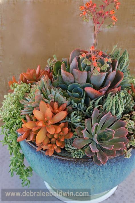 If I Can Find One Arrangement Like That One Day It Will Definitely Have