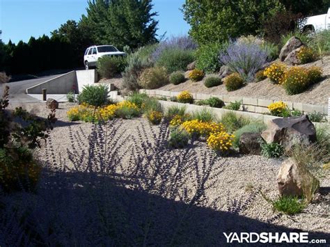 Xeriscape Landscaping Landscaping Tips Outdoor Landscaping Luxury