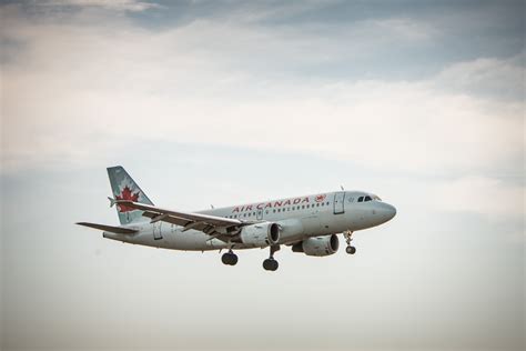 Transport Canada defends loosening rules for aircraft pilots | National ...