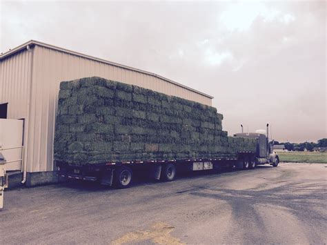 Alfalfa Bales New Braunfels Feed And Supply