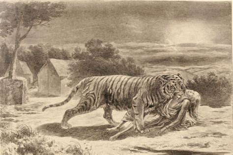 The Tragic Story Of The Tiger That Killed More Than 400 People By Sal