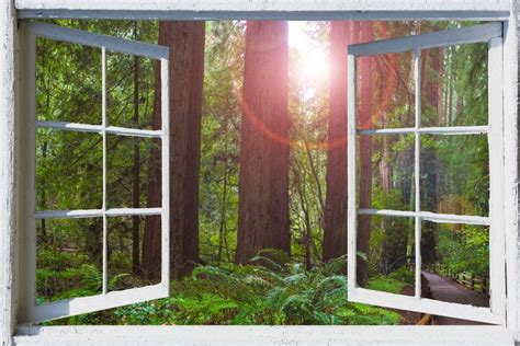Wall Mural Open Window Self Adhesive Forest Window View 3 Etsy