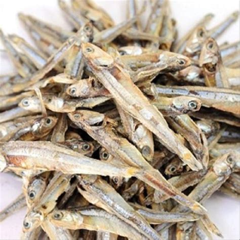 Dried Anchovy Fishnetherlands Price Supplier 21food