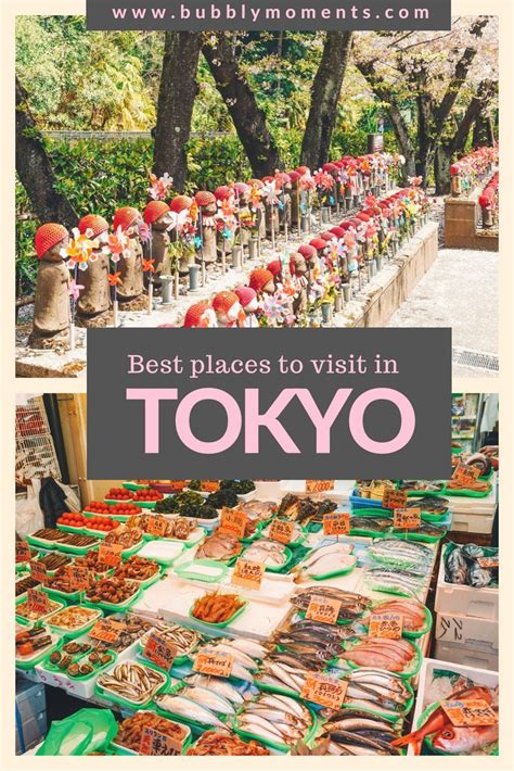 The Best Places to Visit in Tokyo in 3 Days | Cool places to visit