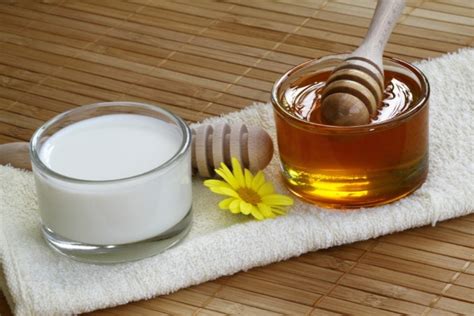Sering dijadikan jamu, ini 11 manfaat kencur bagi tubuh. Cara Membuat Scrub Susu Sendiri di Rumah | MyMilk.com
