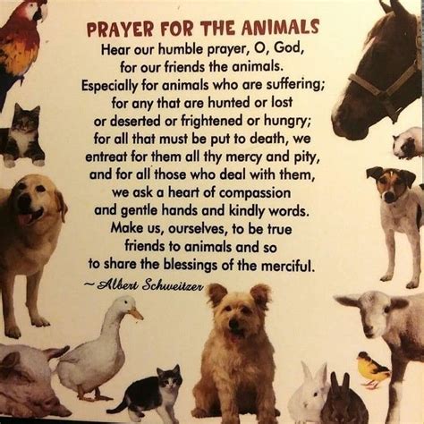 Prayer For Pets Healing Pets Reference