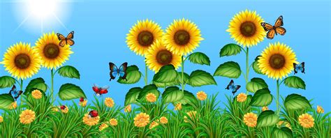 Butterflies Flying In The Sunflower Field 648071 Vector Art At Vecteezy