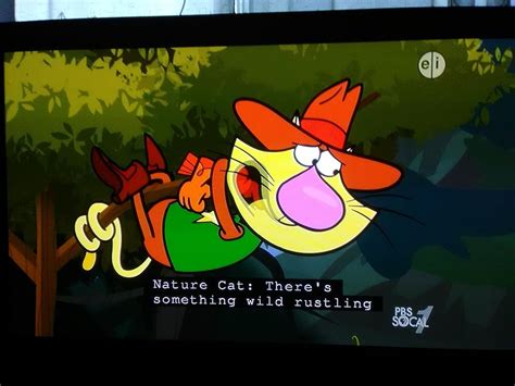 Nature Cat Daisys Wildflower Round Upa Party For Squeeks Tv