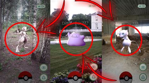 Legendary PokÉmon Caught In Europe Mewtwo Mew Ditto Caught On Tape