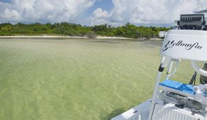 Clothing Optional Pools Bars And Nude Boating Key West Florida