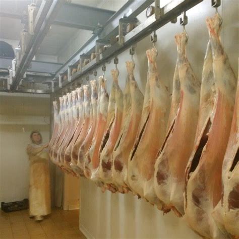 Lamb Meat In Carcass Uruguaystock Offers Global Stocks