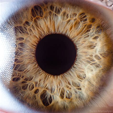 Foto Close Up Pupil Mata Menggunakan Mikroskop Yang Terlihat Unik