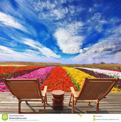 Very Bright Colorful Flower Fields Stock Image Image Of Tourists