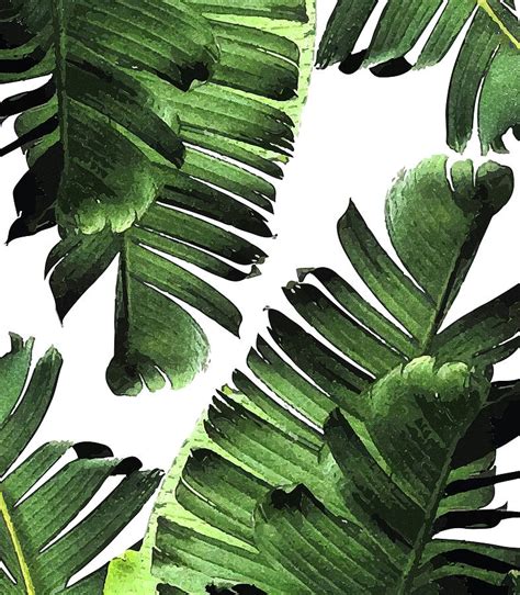 Banana Leaf Tropical Leaf Print Botanical Art Modern Abstract