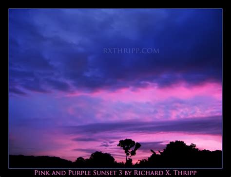 Purple Sunset Sunset Purple