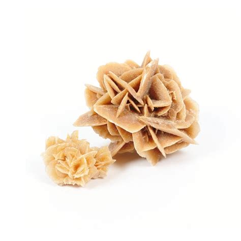 Desert Rose Stone Virtues Of The Stones Lithotherapy Minerals