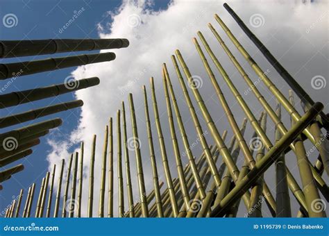 Bamboo Construction Stock Image Image Of Green Organic 1195739