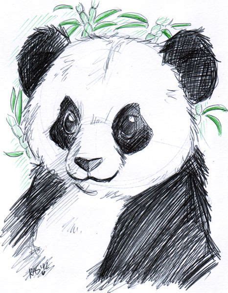Panda Brio Pen By Keyshakitty Animal Sketches Cute Animal Drawings