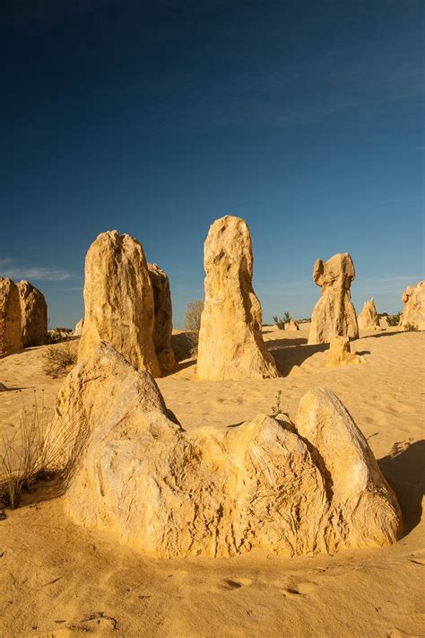 perth day trips nine reasons why the pinnacles have to be on your bucket list community news