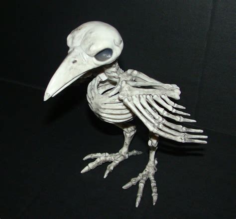 Articulated Halloween Skeleton Crow Life Size Poseable Head And Wings