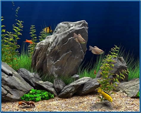 Dream Aquarium 3d Screensaver 10 Download Screensaversbiz