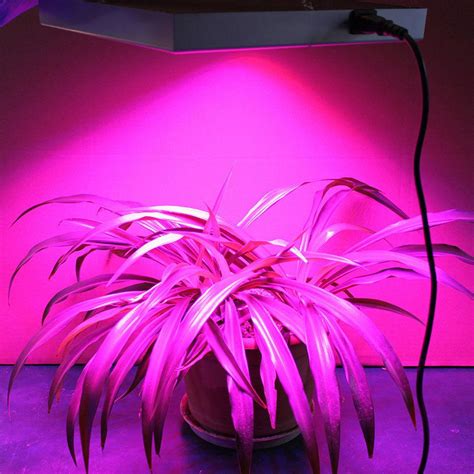 Since spectrum is a very important material to flowers, it means led lights are indeed suitable for flowering. 225 LED 14W Grow Light Lamp Full Spectrum Blue & Red ...