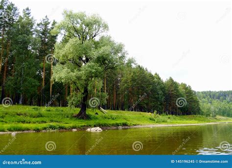 The Most Picturesque River Ai Bashkiria Ural Stock Image Image Of