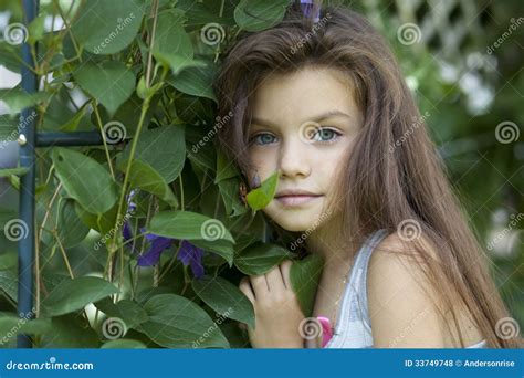 Portrait Of Pretty Little Girl Stock Photo Image Of Human People