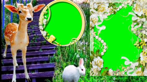 #Green_Screen Effect Editing In Kinemaster Green Screen ...