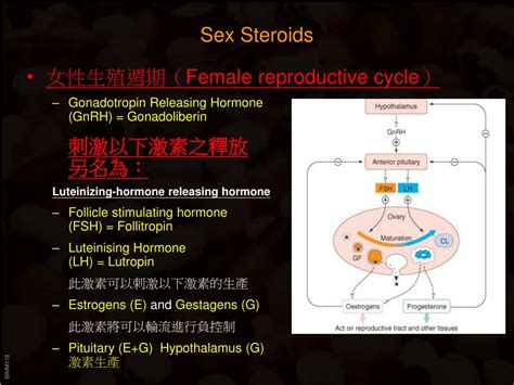 Ppt Steroid Based Drugs Powerpoint Presentation Free Download Id6460096