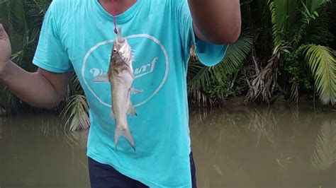 Mancing Di Sungai Dapet Ikan Keting Mini Mancing Mania Mantap 2020