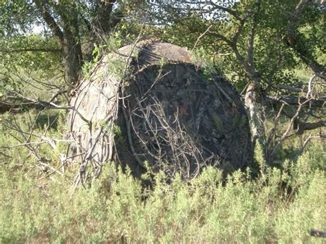 Best Whitetail Deer Hunting Blind Whitetail Hunting