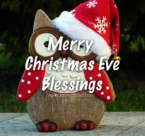 Santa Owl Merry Christmas Eve Blessings Pictures Photos And Images