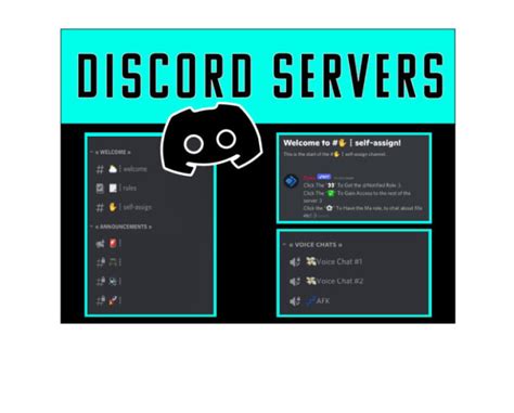 Make A Professional Discord Server For You By Jerxzz Fiverr